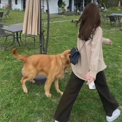 潇洒先生